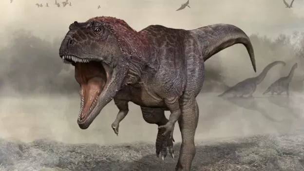 ¿Por qué los Tyrannosaurus rex tenían los brazos pequeños?