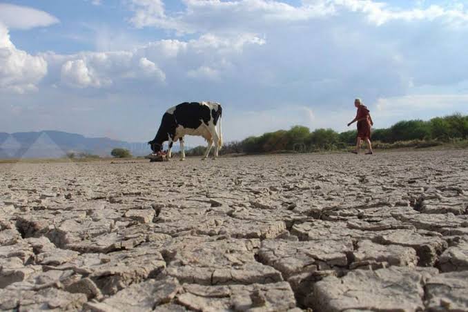Conagua: Coahuila es el estado más afectado por la sequía