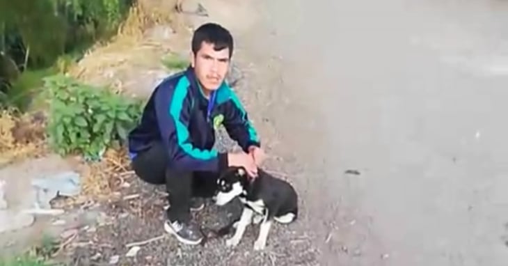 VIDEO: Obligan a sujeto que tiró un perrito al río a sacarlo y liberarlo 
