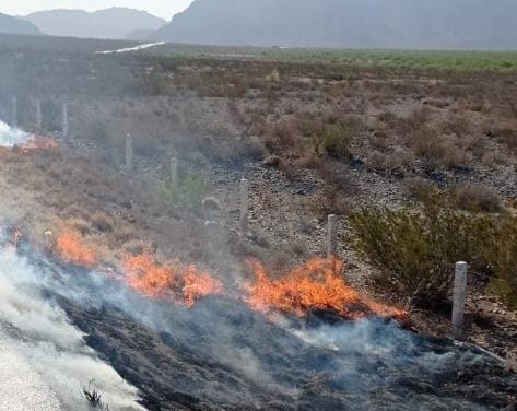 Efecto lupa provoca incendio a orillas de la carretera Cuatro Ciénegas-Monclova