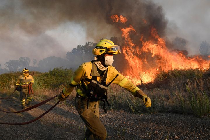 Casi 60.000 hectáreas arrasadas por los incendios forestales en España