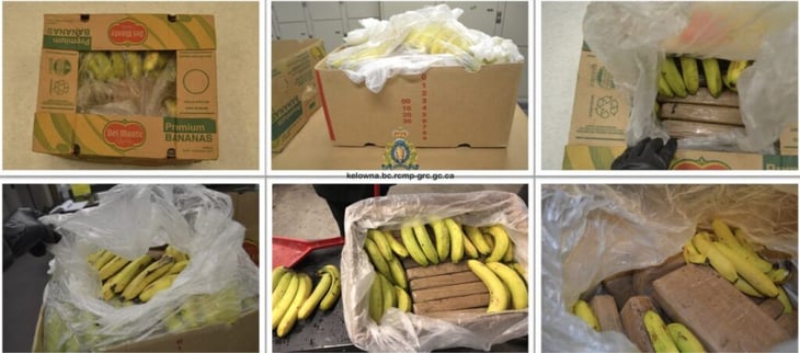 Estas son las frutas en las que trafican cocaína