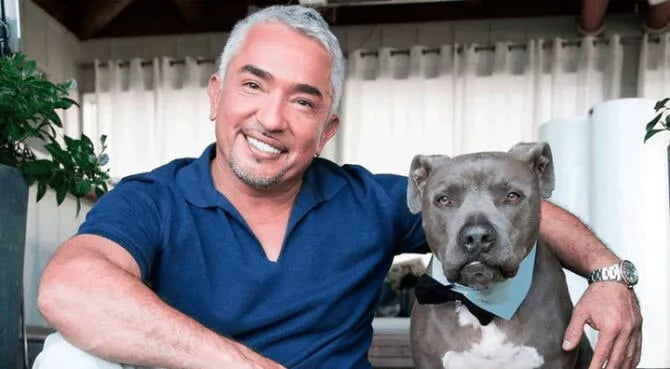 César Millán regresa a la televisión con 'Mejor humano, mejor perro'