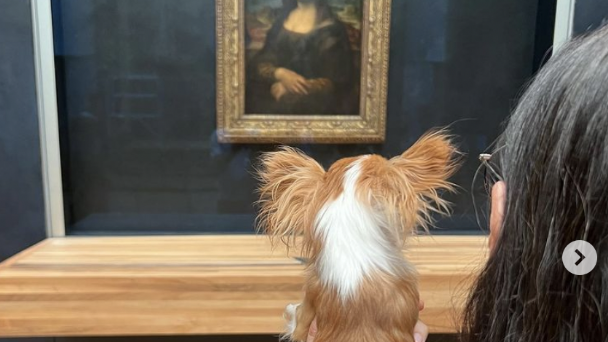 Demi Moore entra al Museo del Louvre con su perrito y la critican