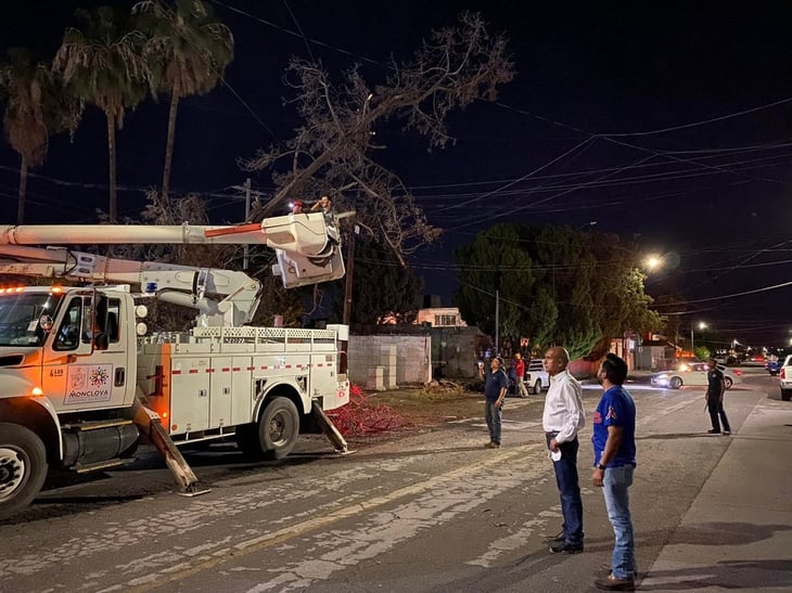 Tormenta derriba 25 árboles y cables de luz en Monclova