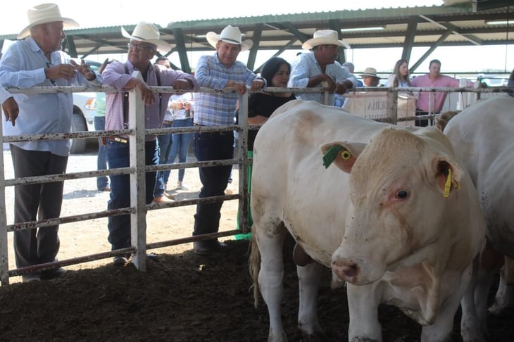 ExpoGan de San Buena entrega bovinos