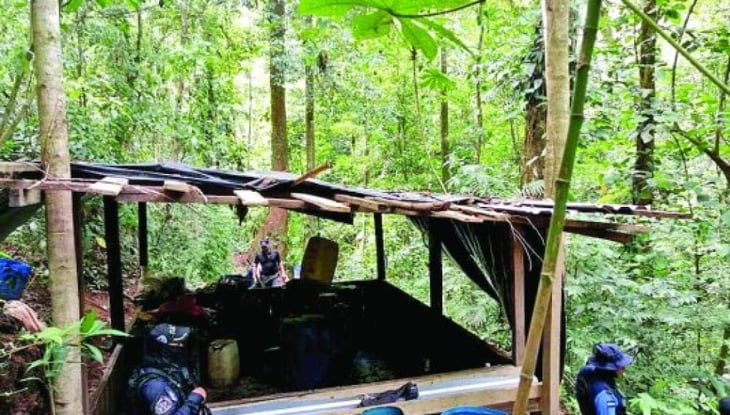 Honduras condena a 11 años a 5 hombres detenidos con 86.000 plantas de coca