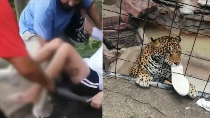 VIDEO: Captan momento en que jaguar ataca a adolescente en zoológico de León