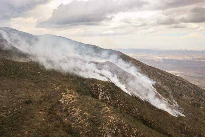 Incendio forestal se mantiene activo en sierra de Parras