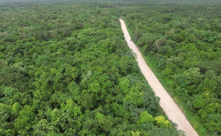 Tren Maya no se detiene; AMLO expropia 109 hectáreas para tramo 5