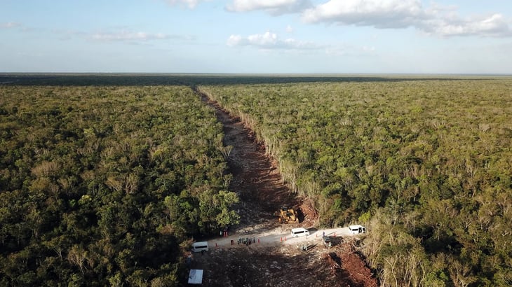AMLO expropia 109 hectáreas para el tramo 5 del Tren Maya 