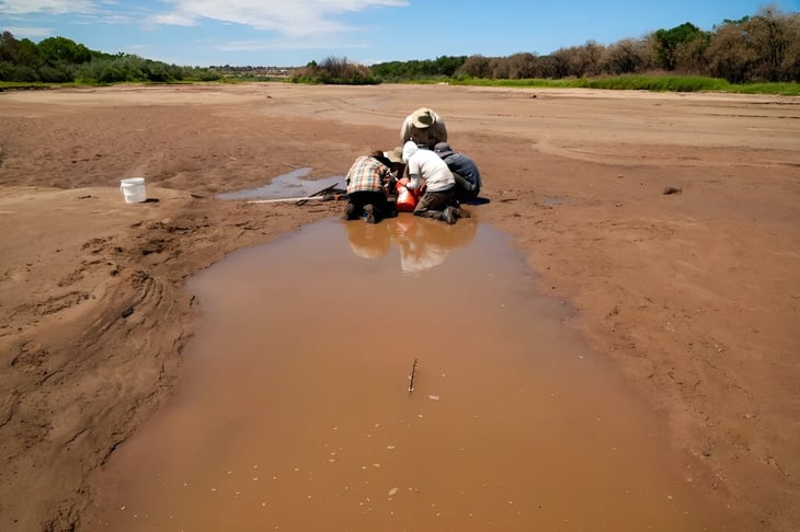 Biólogos: el Río Bravo se seca, en peligro el pez carpa y chamizal