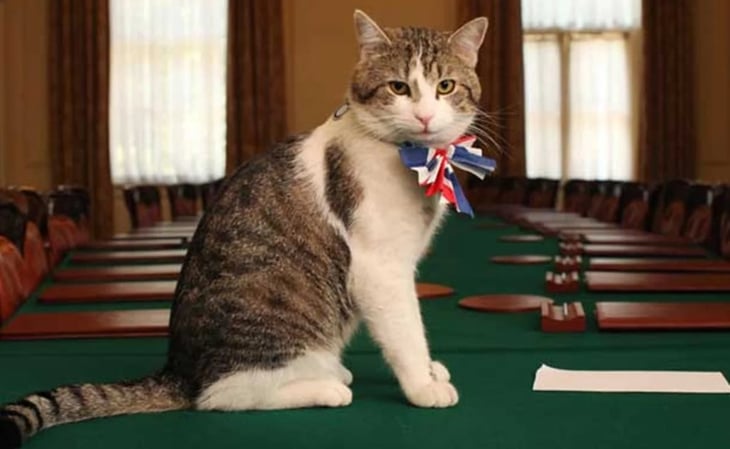 Larry, el gato más famoso de Londres con 'habilidades como ratonero'