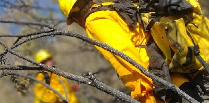 Controlan incendio en sierra de Nuevo León; afecta 30 hectáreas