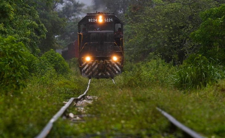 Juez niega a asociación civil suspensión definitiva contra obras del tramo 5 del Tren Maya