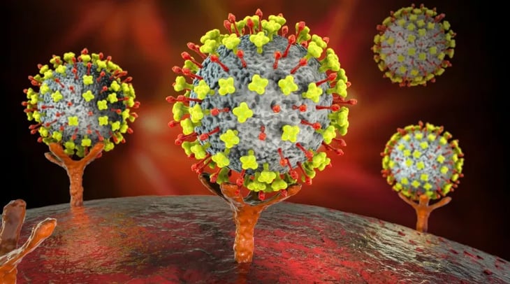 China detecta nuevo virus 'Langya'; hay 35 personas infectadas