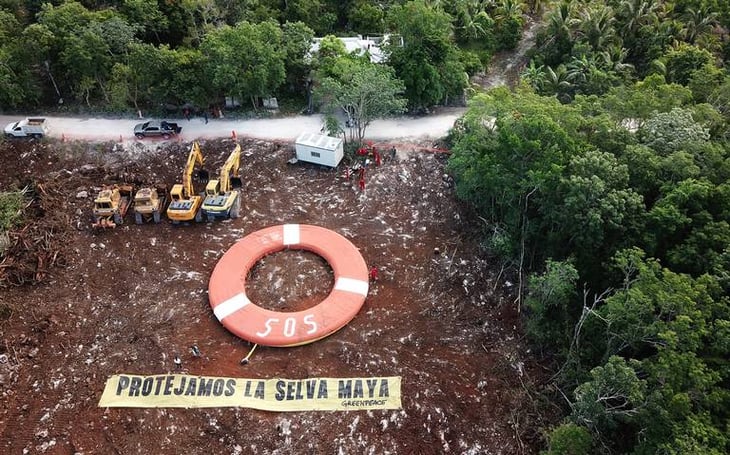 ONG reclaman a Gobierno mexicano desprotección ambiental en Tren Maya