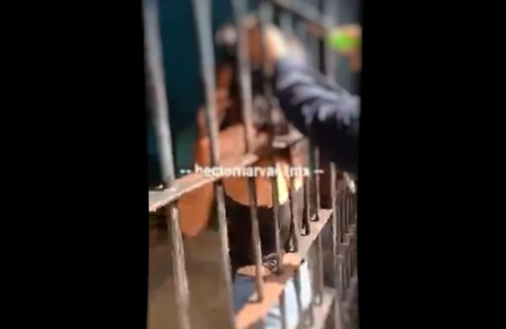 Policías amarran a detenida del cuello a barrotes de celda en Huixtla, Chiapas  
