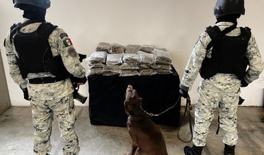 Binomio canino detecta marihuana enviada a Coahuila