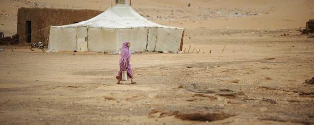 ONU alerta de una crisis alimentaria de los refugiados saharauis en Argelia