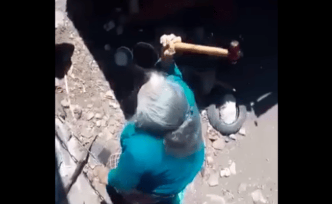 Exigen justicia: abuelita mata a lomito a martillazos en Querétaro