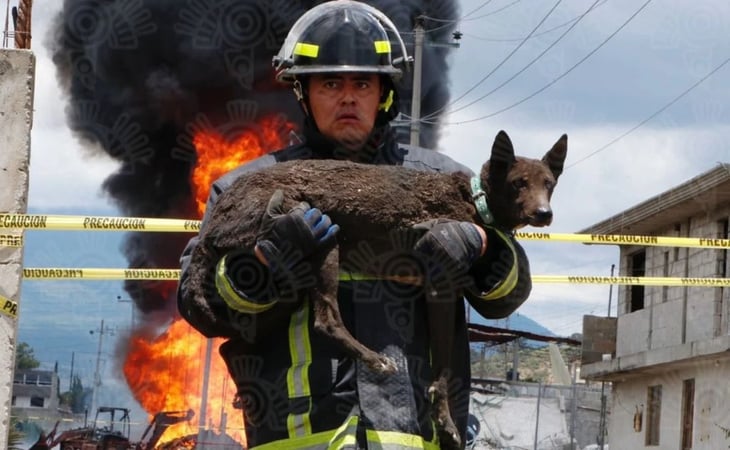 Rescatan a perro atrapado tras explosión de un ducto de Pemex en Amozoc