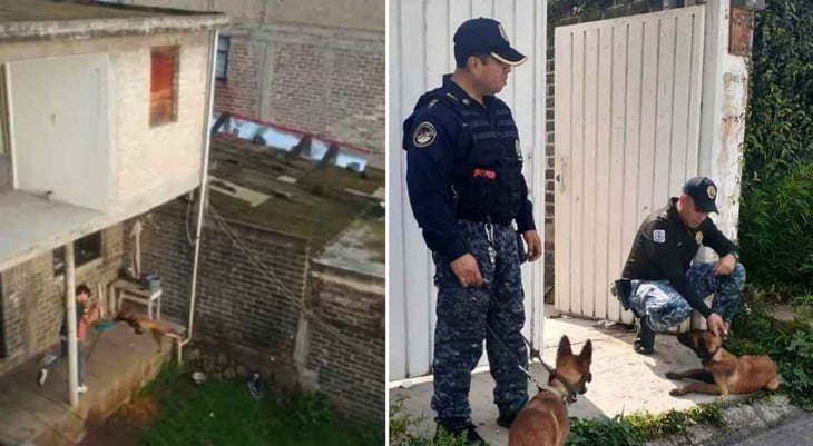 Rescatan perros maltratados en vivienda de Magdalena Contreras