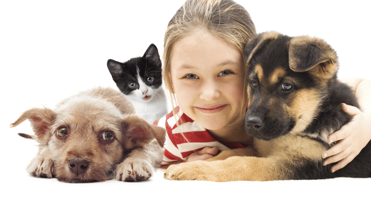 Niños con mascotas: un apoyo para la salud física y mental