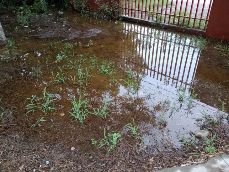 Lluvias dejaron agua estancada en escuelas