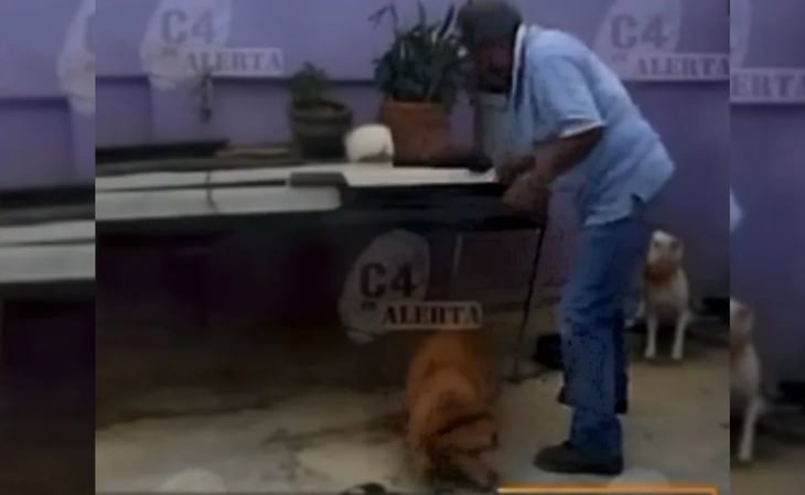 Captan a hombre golpeando con un palo a un perro encadenado