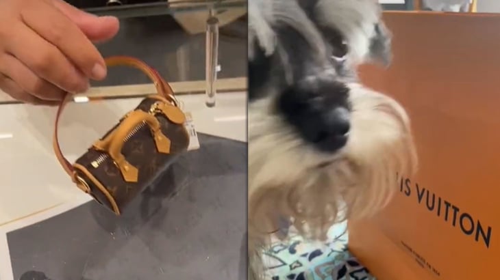 'Tiktoker' compra bolso de Louis Vuitton de más de 17 mil pesos para recoger las heces de su perro