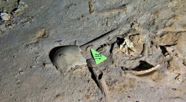 Arqueólogo encuentra fósil de 8 mil años bajo Tren Maya; INAH desmiente el hallazgo