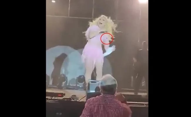 Video. '¡Pinche cucaracho!': Yuri se asusta con insecto en su cuello durante concierto en Tamaulipas