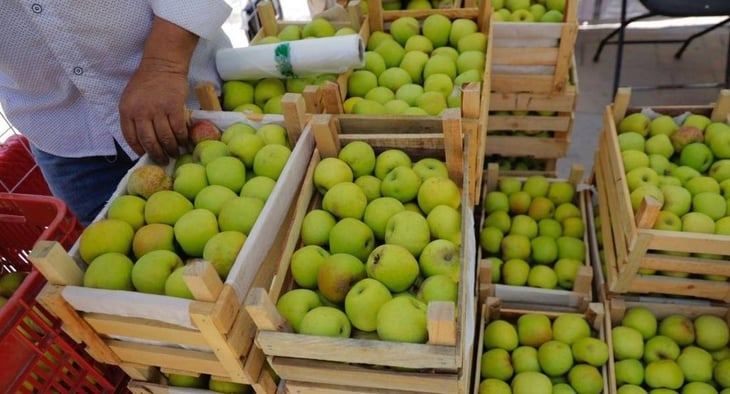 Arteaga es el segundo productor nacional de manzana