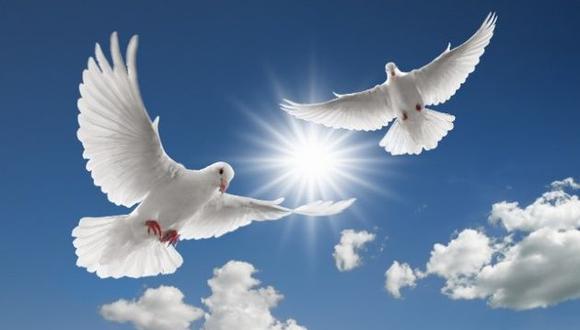 ¿Por qué se celebra el Día de la Paz?