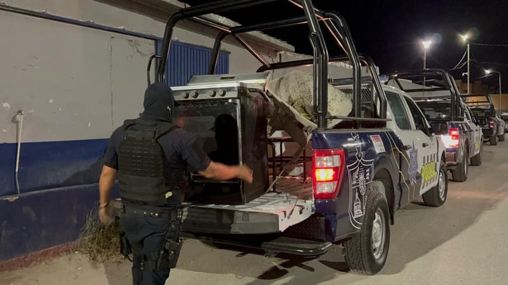 Policía Municipal detiene a presunto ladrón en la colonia Otilo Montaño de Monclova 