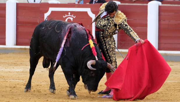 Priistas presentarán iniciativa para eliminar corridas de toros