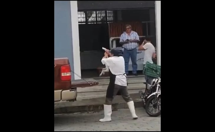 Empleado de carnicería dispara con pistola de balines a perrito en Puebla