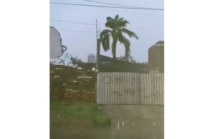 Reportan apagón, daños en servicios y caída de árboles en Escuinapa por efectos del huracán 'Orlene'