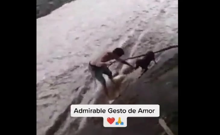 Boxeador arriesga su vida para salvar a un perro durante el ciclón Julia, en Nicaragua