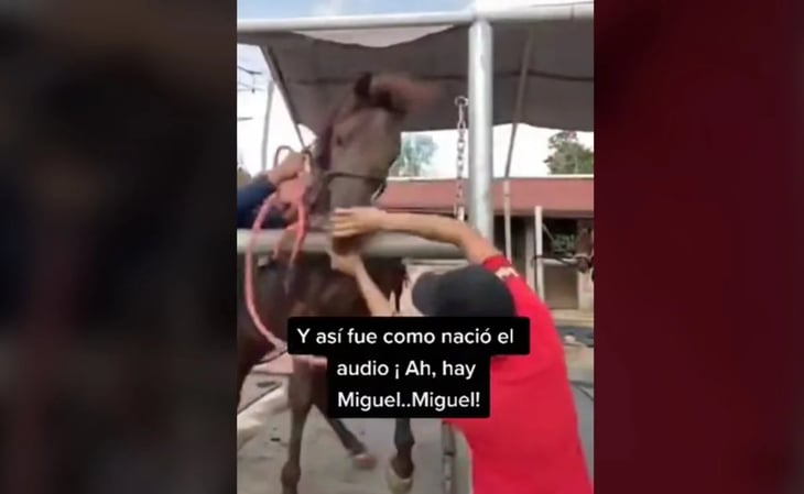 VIDEO: '¡Ay, Miguel!': Así surgió el audio viral que la rompió en TikTok