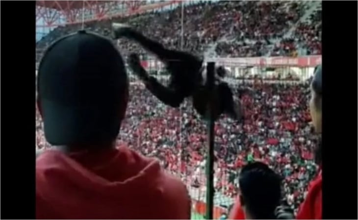 VIDEO: La espeluznante caída de un aficionado del Toluca de las gradas del Estadio Nemesio Díez