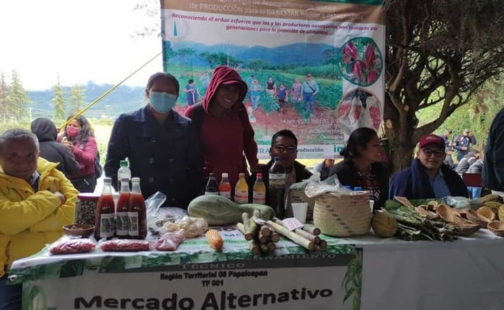 Más de 500 productores de Oaxaca se reúnen para buscar bioalternativas a fertilizantes químicos