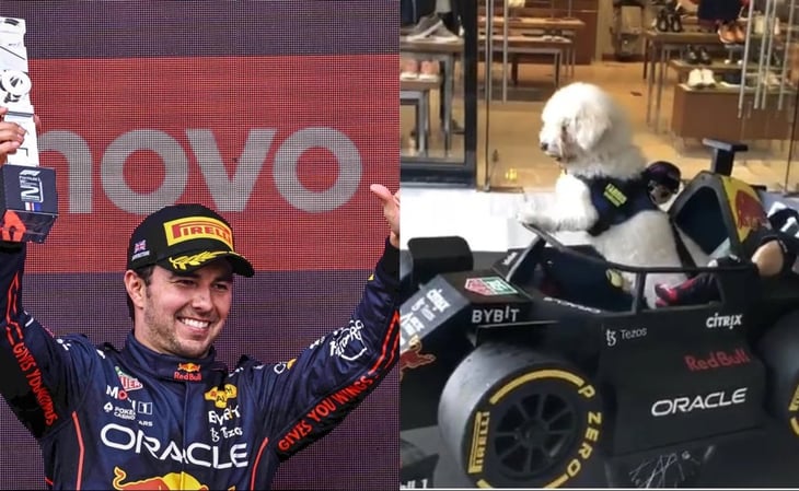 '¡Se logró!': Perrito fan de la F1 conocerá a Checo Pérez en el GP de México