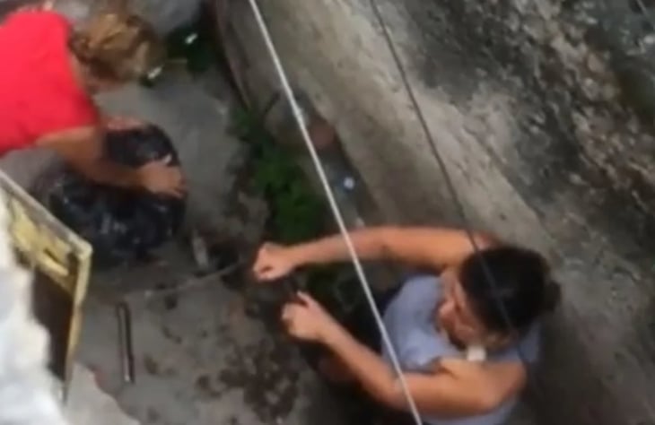 VIDEO: Denuncian a mujeres que asfixiaron con bolsa a gatitos recién nacidos en Cuernavaca, Morelos 