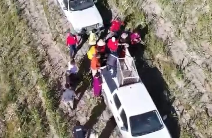 Capturan a oso que deambulaba en ejido de Matamoros en Coahuila