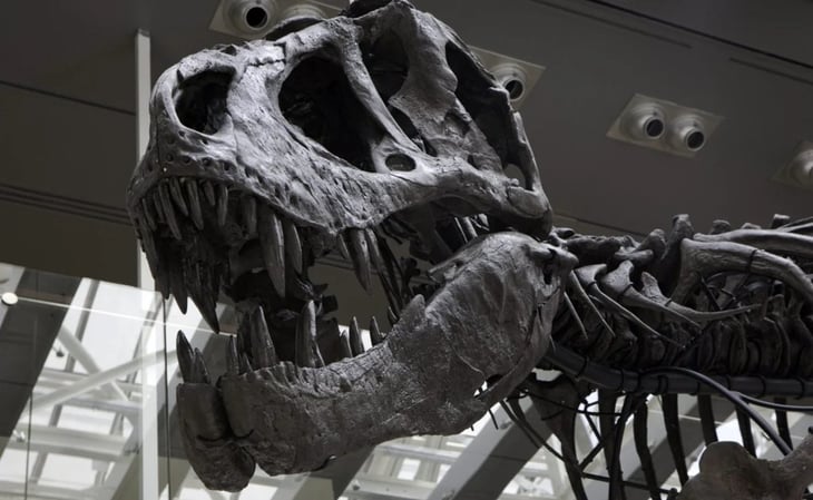 Esqueleto de tiranosaurio rex será subastado por primera vez en Asia
