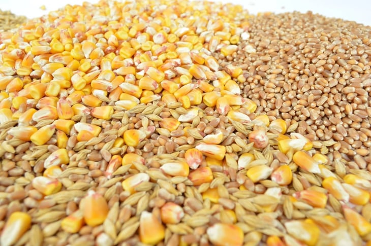 Rusia reactiva pacto para exportar cereales de Ucrania