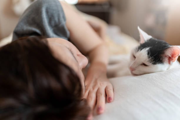  Esto es lo que se tiene que saber sobre dormir con nuestros felinos
