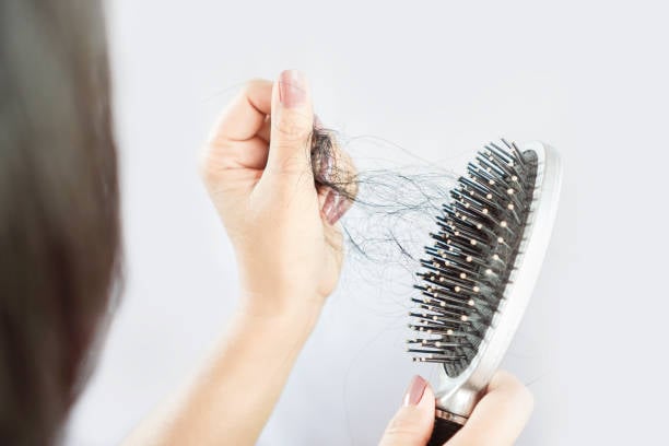 Beneficios de la espinosilla: ayuda a reducir la caspa y la caída del cabello